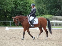 IMG_0953_web